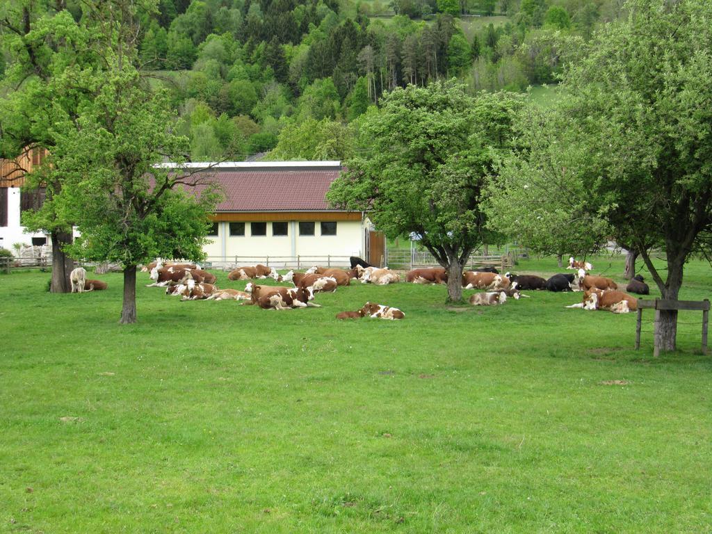 Donisbauerhof Lieserbrücke Exterior foto